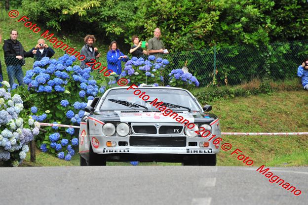 DSC_5884.JPG